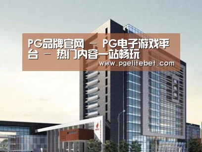 案例展示七