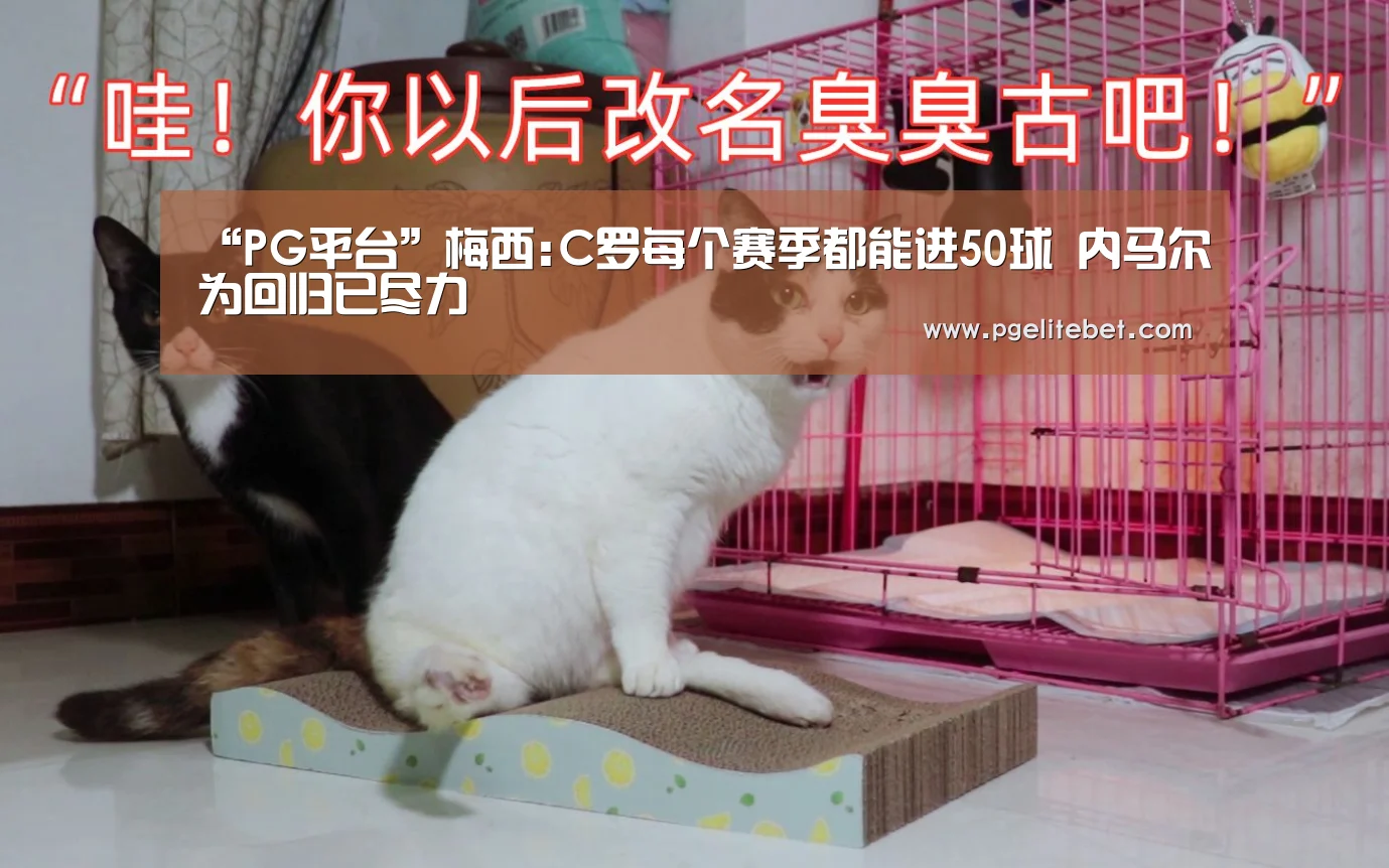 PG平台